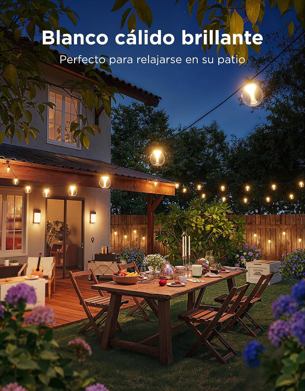 Guirnalda de luces transparentes Govee RGBWIC