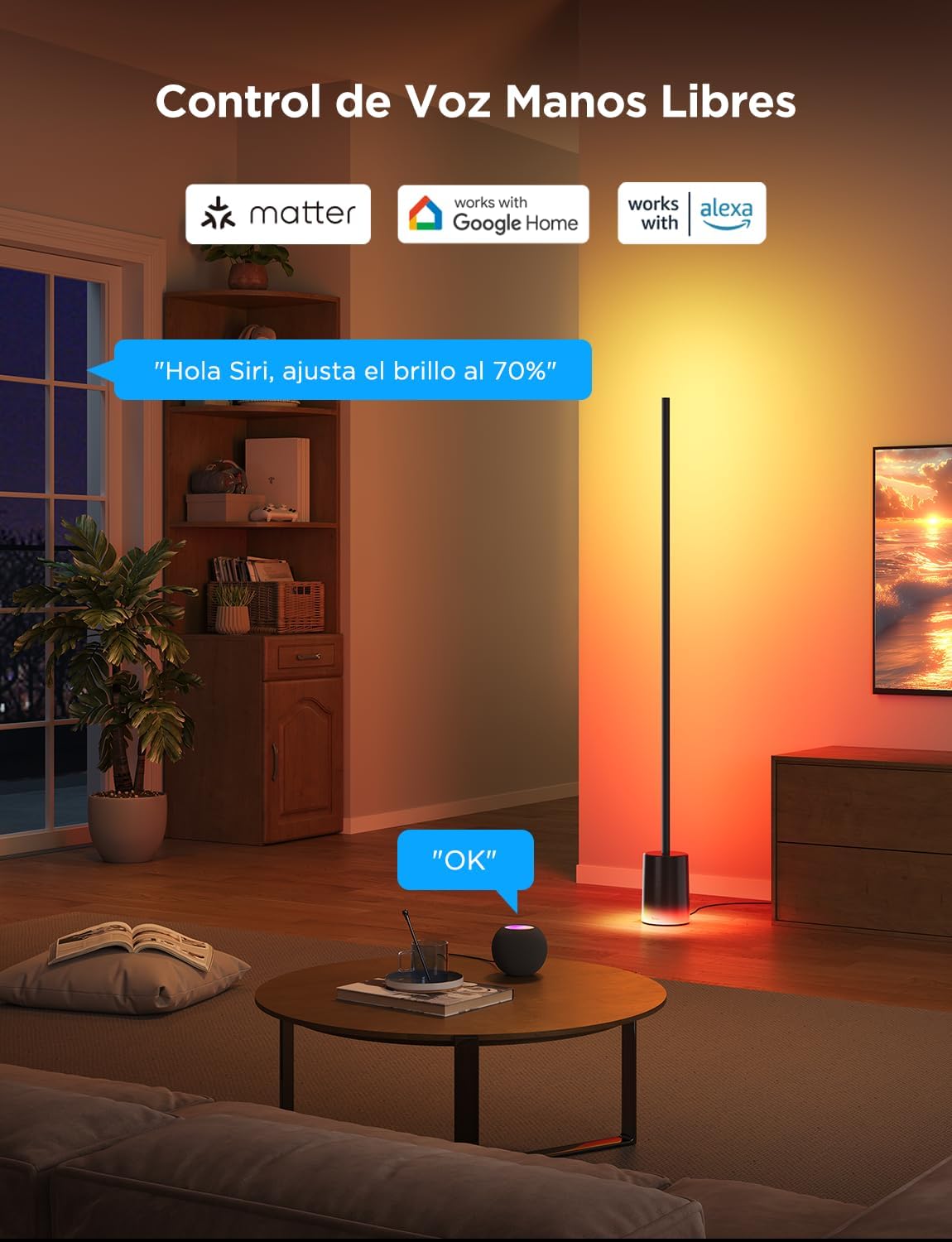 Lampara de Pie Govee RGBIC 2