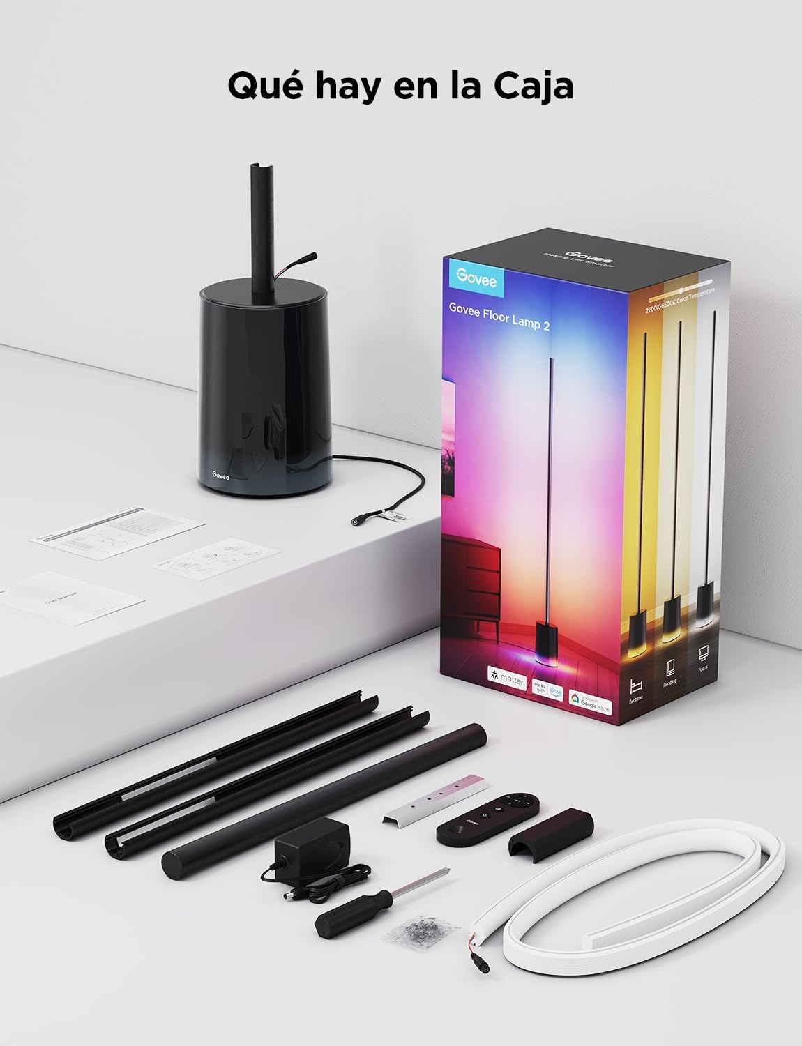 Lampara de Pie Govee RGBIC 2