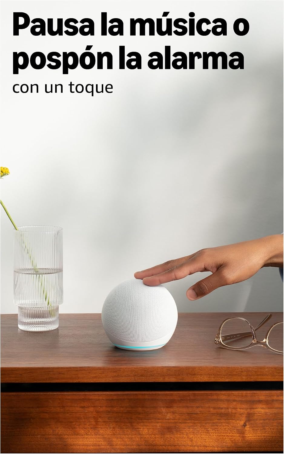 Alexa Echo Dot
